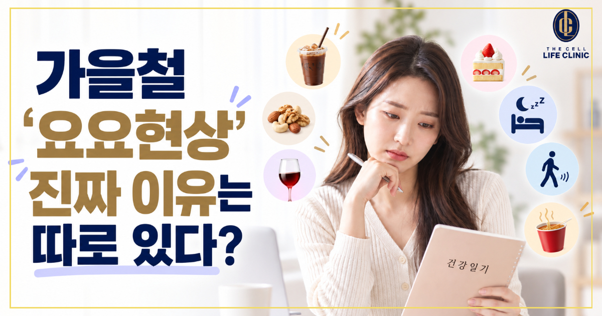 가을만 되면 왜 다시 찌는 걸까요? 가을철 다이어트 요요, 원인을 알면 답이 보입니다