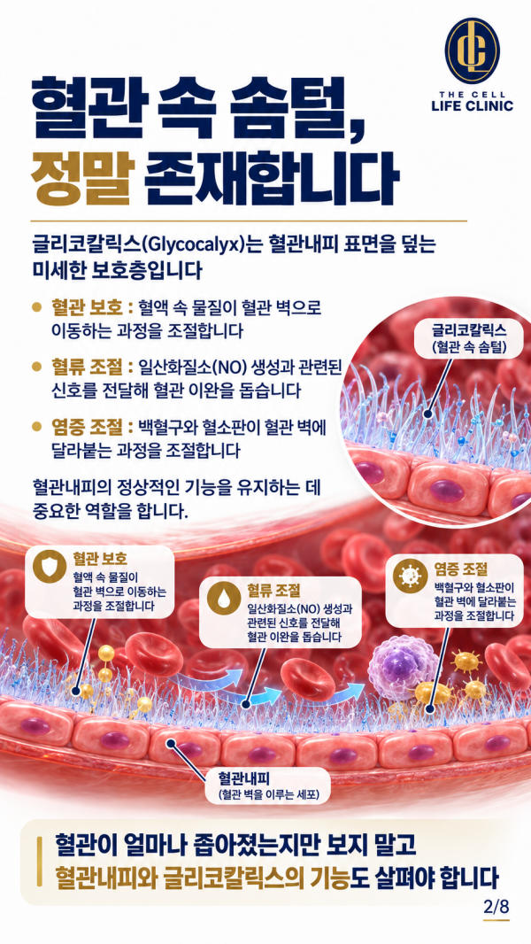 d0acb2f6d6fbac69f569d96a4f2f7d9a_1792420366_785.png
