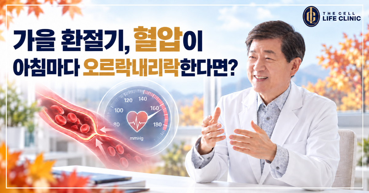 양재역 경동맥초음파검사로 알아보는 내 혈관 건강, 가을 환절기에 꼭 확인해야 하는 이유는?