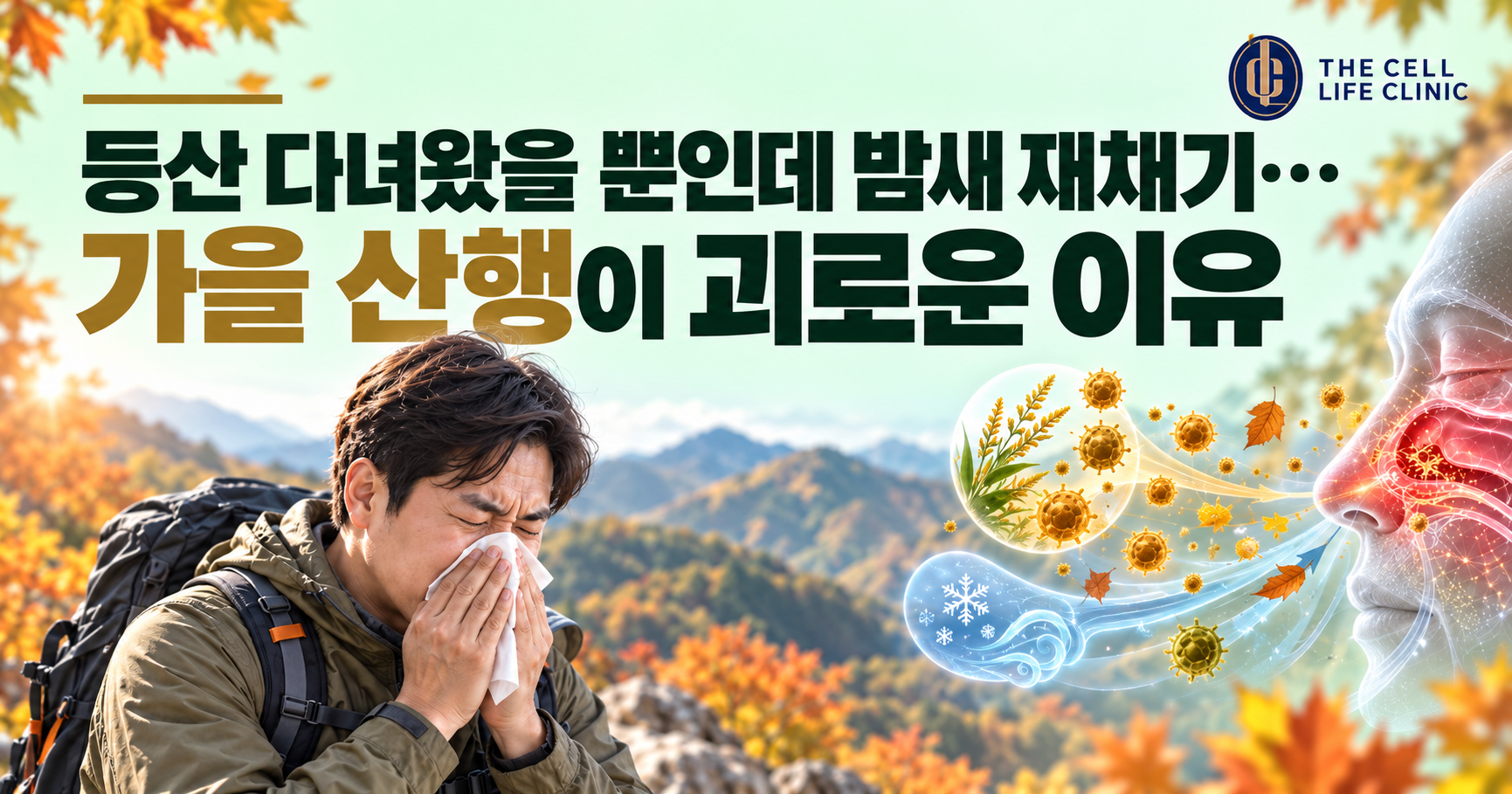 가을 등산 후 밤새 콧물, 재채기했다면? 꽃가루 알레르기 때문일까요?